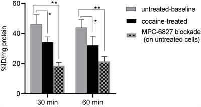 Initial Evaluations of the Microtubule-Based PET Radiotracer, [11C]MPC-6827 in a Rodent Model of Cocaine Abuse